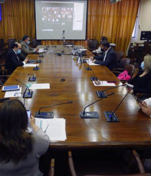 Comision Constitucion Camara-emol aton