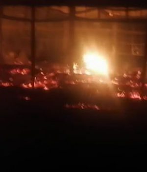 Arauco atentado escuela-emol