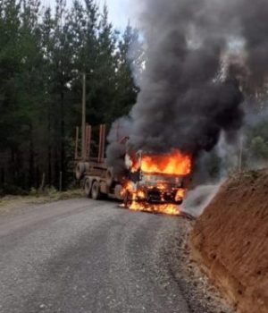 Arauco atentado Contulmo bio bio