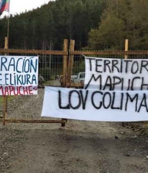Tomas mapuche ex ante