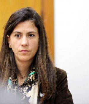 Poblete Luz-evopoli-ex ante