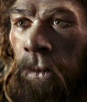 Neardertal-tercera wsj