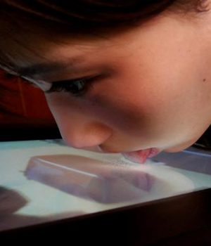 jAPON PANTALLA PARA LAMER-DW