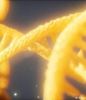 ADN descodificado-dw