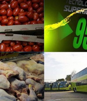 IPC productos-tercera