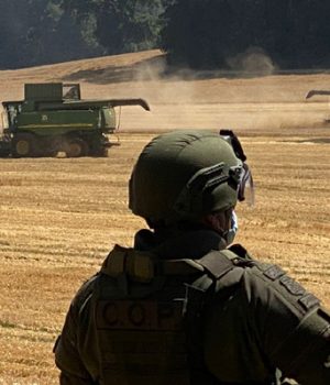 Macrozona sur-seguridad