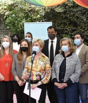 Matthei parlamentarios tercera