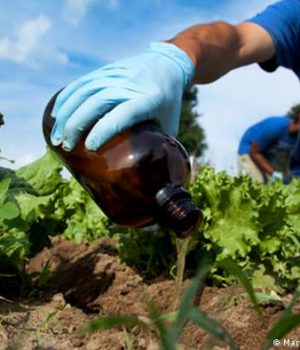 Agricultura abono orina-dw