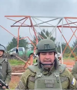 Arauco torre vigilancia derribada-tercera