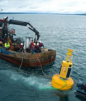 Boya-Ballenas-Chile dw