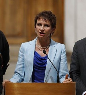 Toha mesa seguridad-emol