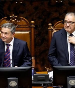 Coloma Huenchumilla senado-tercera