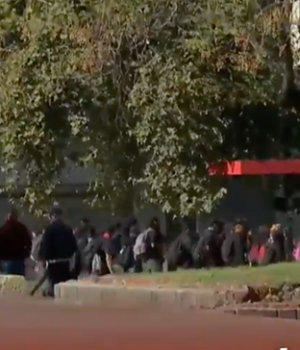 Secundarios dia combatiente-lanacion