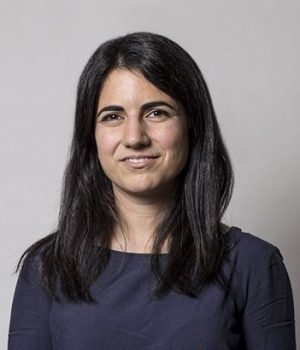 Valentina paredes Uchile