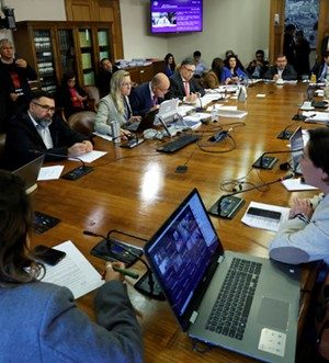 Camara Comision economia-emol