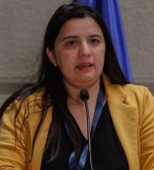 Dipres-Javiera martinez-emol