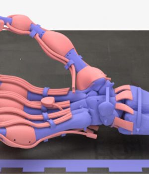 mano-robotica-blanda-750x400 bIO bIO efe