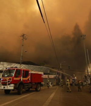 Incendio Forestal Quilpue-emol