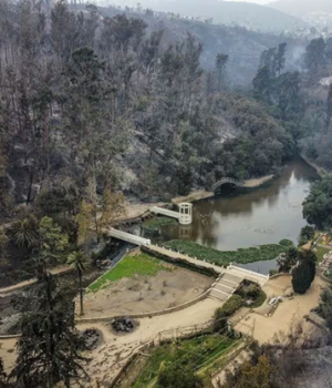 Jardin Botanico Viña-tercera