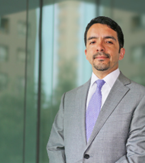 Hugo Sanchez super de insolvencia-