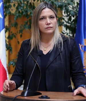 Diputada Marlene Perez-