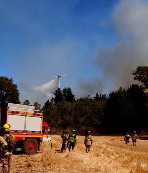Incendio forestal-tercera