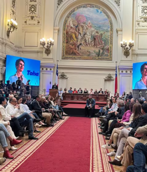 Carolina Toha proclamacion ppd-tercera