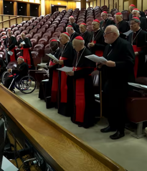 Colegio Cardenalicio-tercera