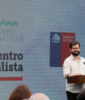 Boric cerro castillo-tercera