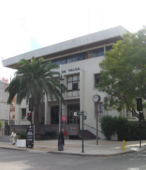 Municipalidad de Talca-pauta